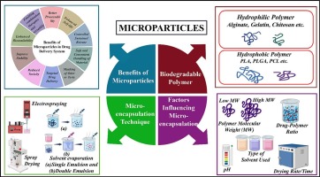 Unveiling the potentials of hydrophilic and hydrophobic polymers in microparticle systems: Opportunities and challenges in processing techniques