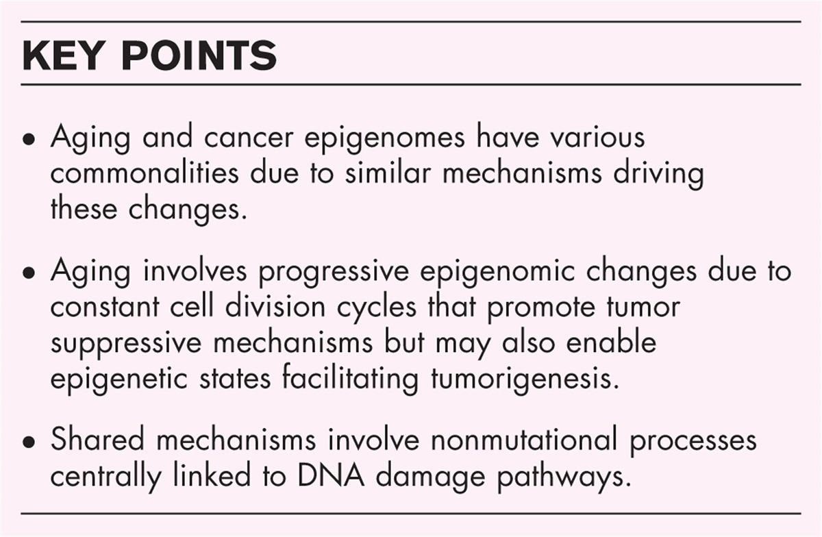 Epigenetic dynamics of aging and cancer development: current concepts from studies mapping aging and cancer epigenomes