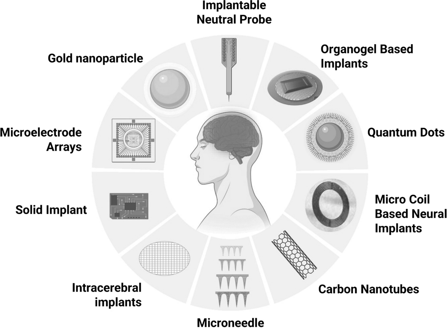 Biomaterials Comprising Implantable and Dermal Drug Delivery Targeting Brain in Management of Alzheimer’s Disease: A Review