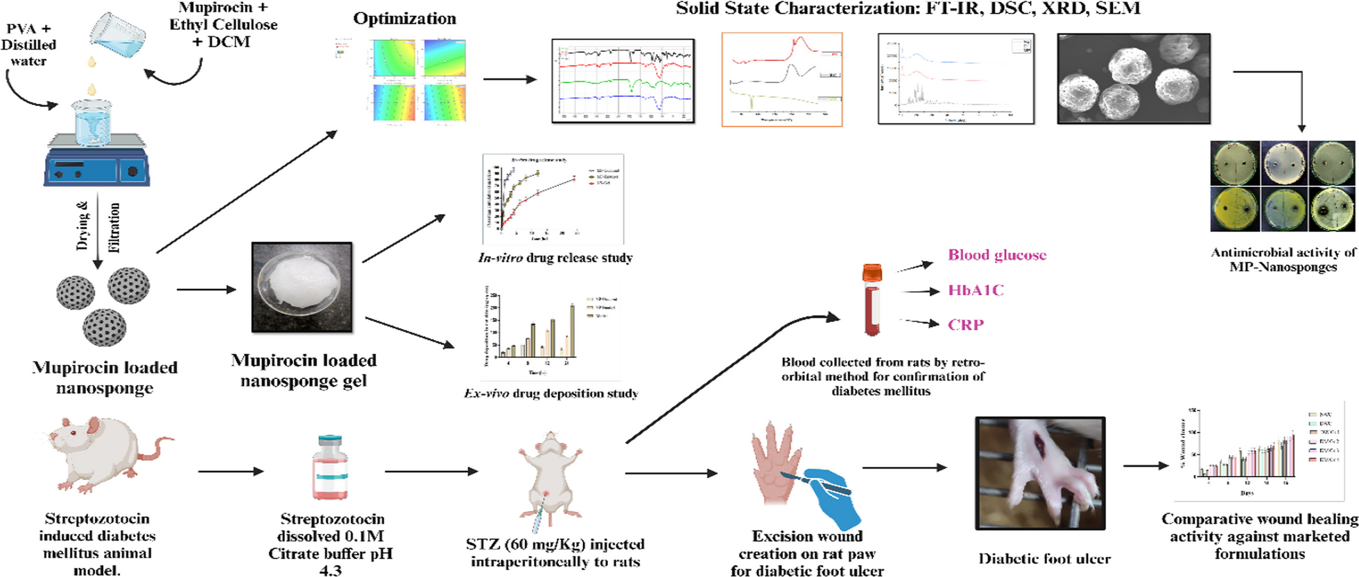 Enhanced therapeutic approach for diabetic foot ulcers: comparative study and characterisation of mupirocin-loaded nanosponge gel with marketed formulation for accelerating wound healing and in vivo evaluation