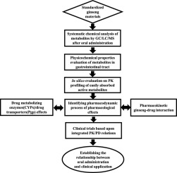 Metabolism and drug interactions of Korean ginseng based on the pharmacokinetic properties of ginsenosides: Current status and future perspectives