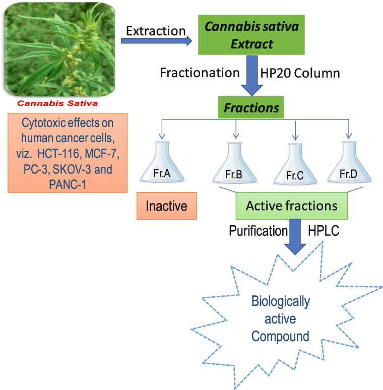 Bioassay-guided fractionations of Cannabis sativa extract and HPLC-assisted purifications of anti-proliferative active fractions lead to the isolation of 16 known and one new phytomolecule and their in-silico analysis