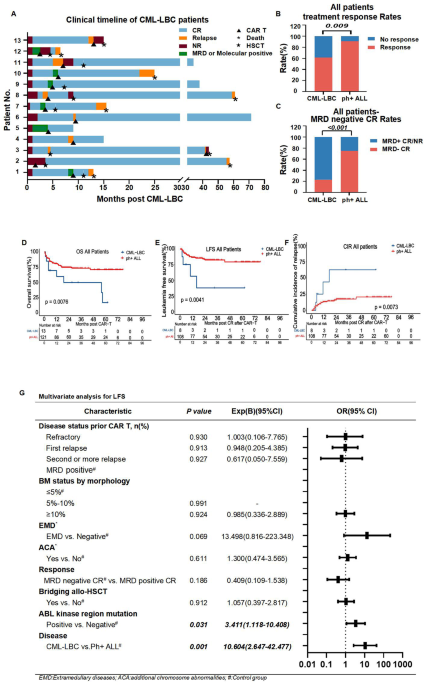Clinical outcomes of patients with lymphoid blastic phase of chronic myeloid leukemia treated with CAR T-cell therapy