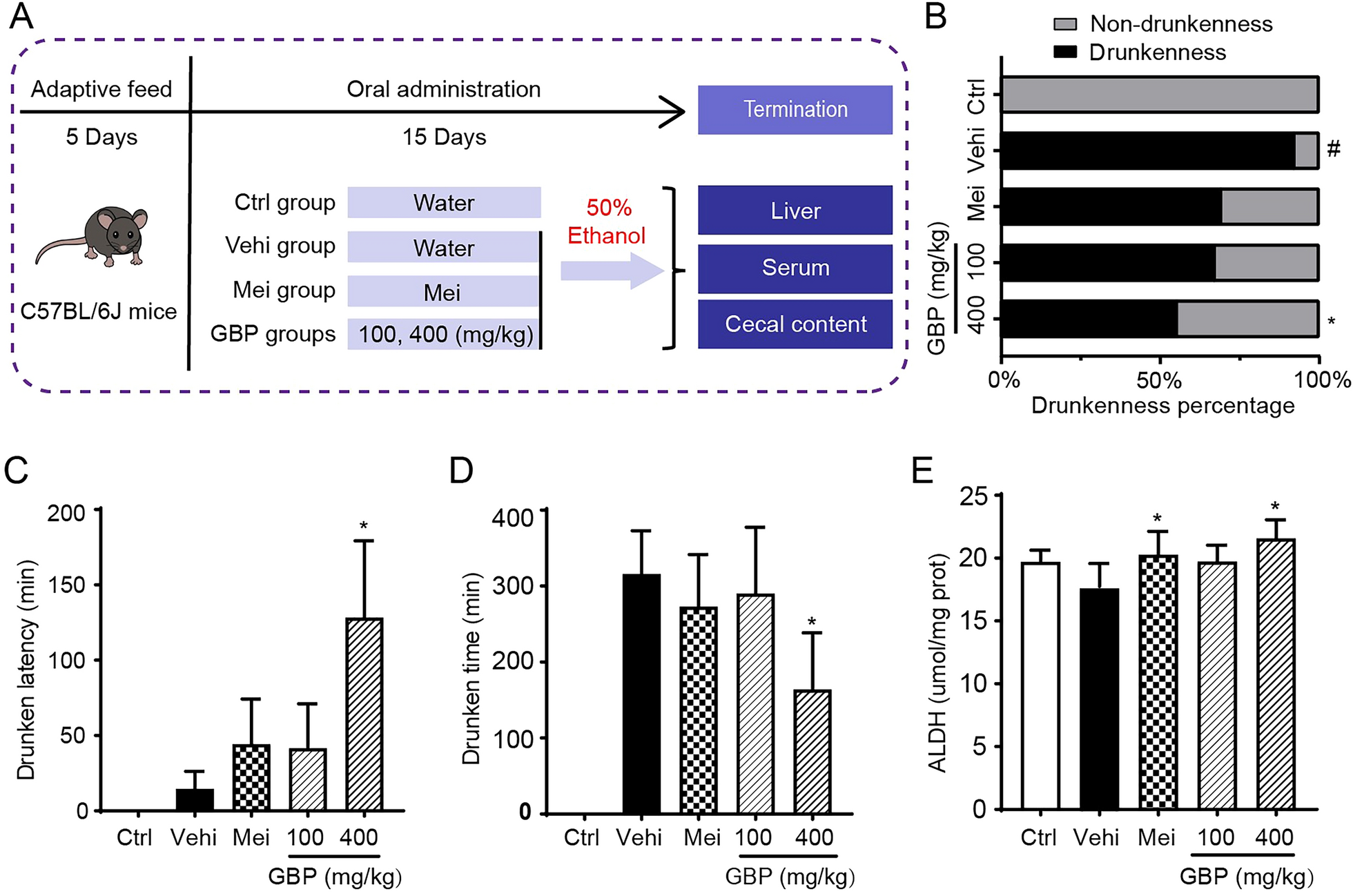 Golden bile powder prevents drunkenness and alcohol-induced liver injury in mice via the gut microbiota and metabolic modulation