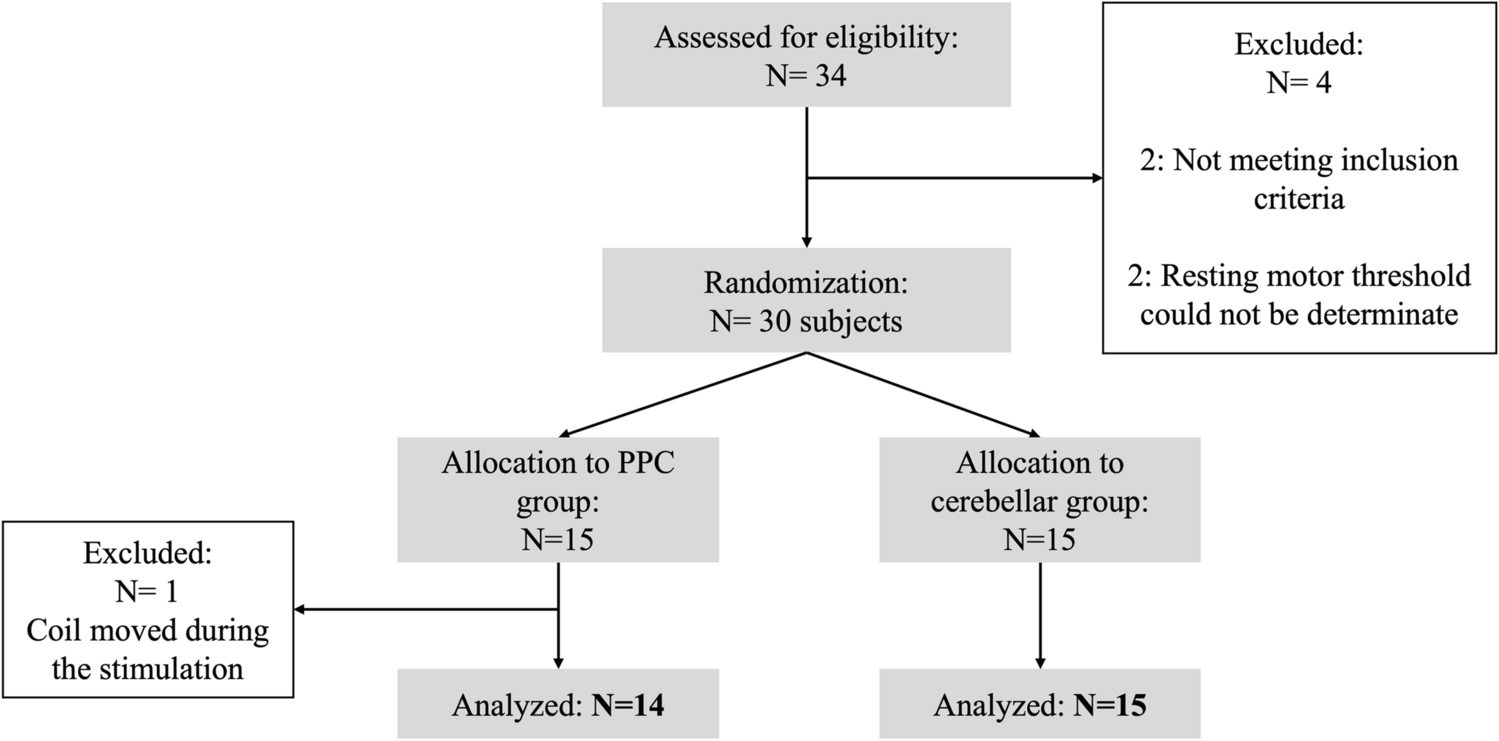 Disentangling Cerebellar and Parietal Contributions to Gait and Body Schema: A Repetitive Transcranial Magnetic Stimulation Study