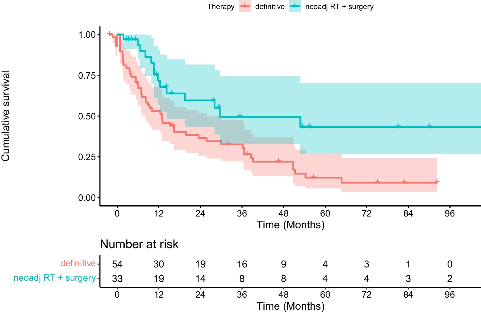 Multicenter analysis on the value of standard (chemo)radiotherapy in elderly patients with locally advanced adenocarcinoma of the esophagus or gastroesophageal junction