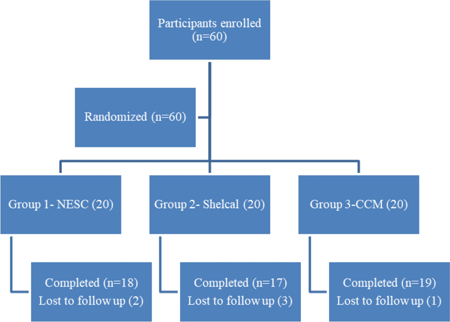 Comparative Evaluation of Bioavailability, Efficacy and Safety of MICROCORE NESC® with Calcium Carbonate and Calcium Citrate Malate in Osteopenic and Osteoporotic Patients: A Randomized Clinical Trial