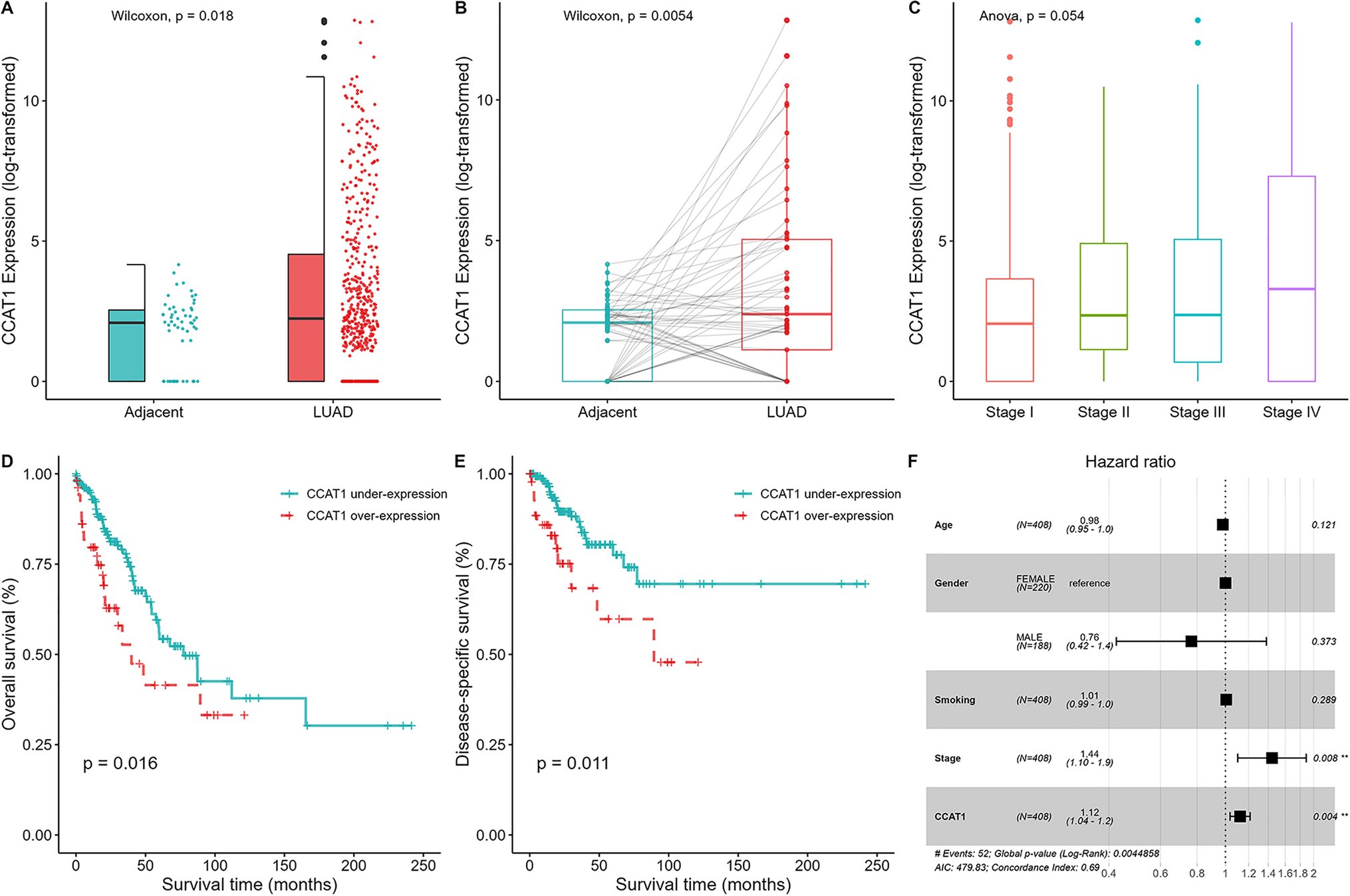 Long non-coding RNA CCAT1 acts as an oncogene to promote radiation resistance in lung adenocarcinoma: an epigenomics-based investigation