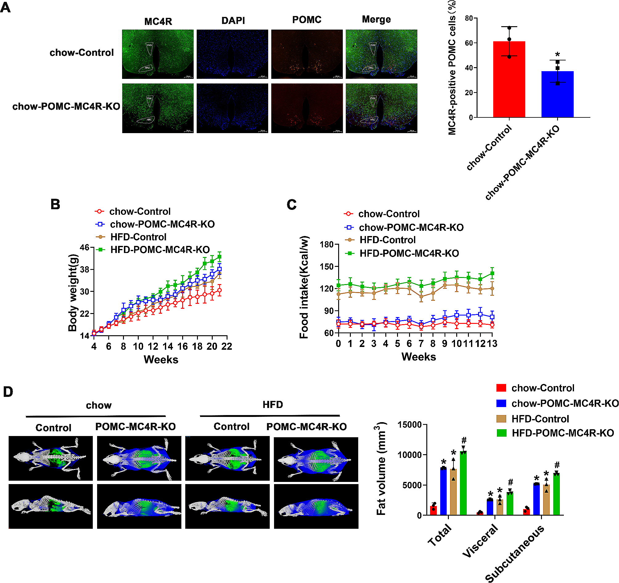 Hypothalamic POMC neuron-specific knockout of MC4R affects insulin sensitivity by regulating Kir2.1