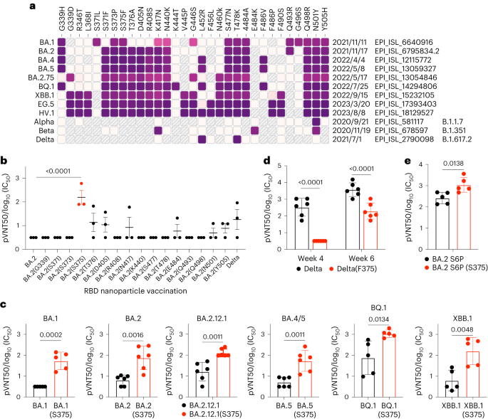 The receptor binding domain of SARS-CoV-2 Omicron subvariants targets Siglec-9 to decrease its immunogenicity by preventing macrophage phagocytosis