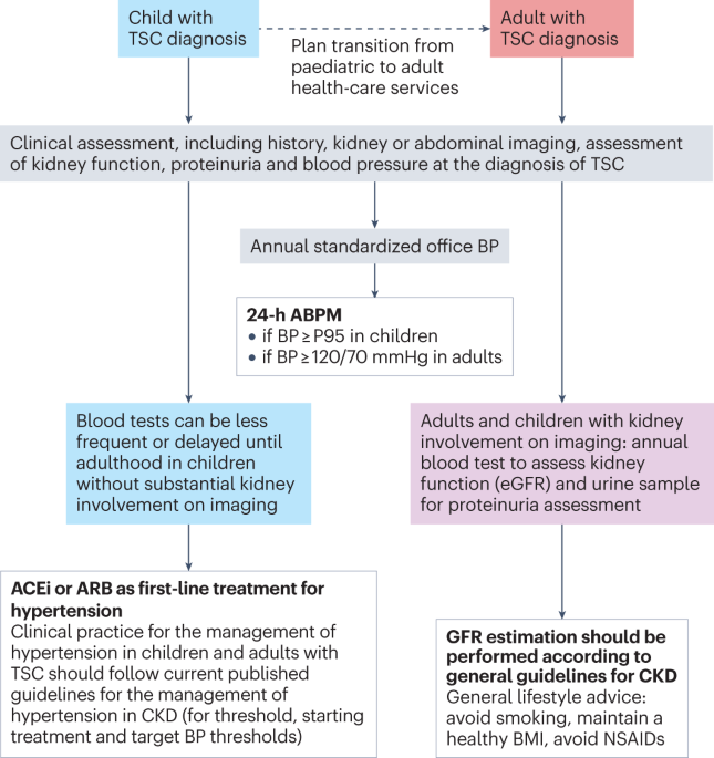 Clinical practice recommendations for kidney involvement in tuberous sclerosis complex: a consensus statement by the ERKNet Working Group for Autosomal Dominant Structural Kidney Disorders and the ERA Genes & Kidney Working Group