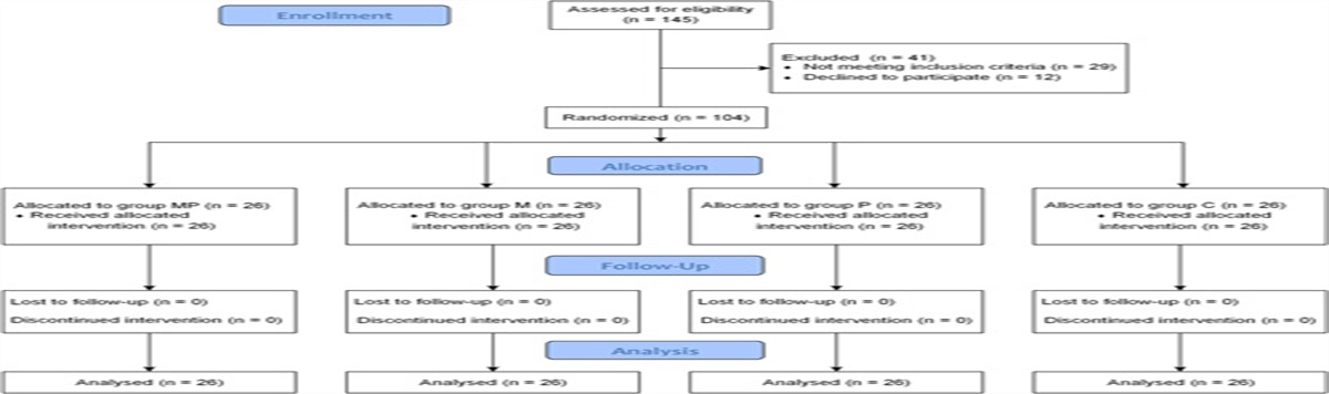 Analgesic Effects of Preoperative Combination of Oral Pregabalin and Intravenous Magnesium Sulfate on Postoperative Pain in Patients Undergoing Posterolateral Spinal Fusion Surgery: A 4-arm, Randomized, Double-blind, Placebo-controlled Trial