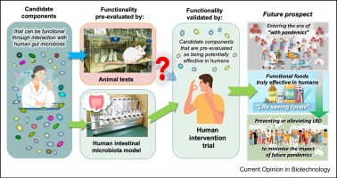 Evaluating functionalities of food components by a model simulating human intestinal microbiota constructed at Kobe University