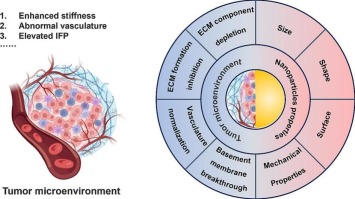 Effect of biophysical properties of tumor extracellular matrix on intratumoral fate of nanoparticles: Implications on the design of nanomedicine