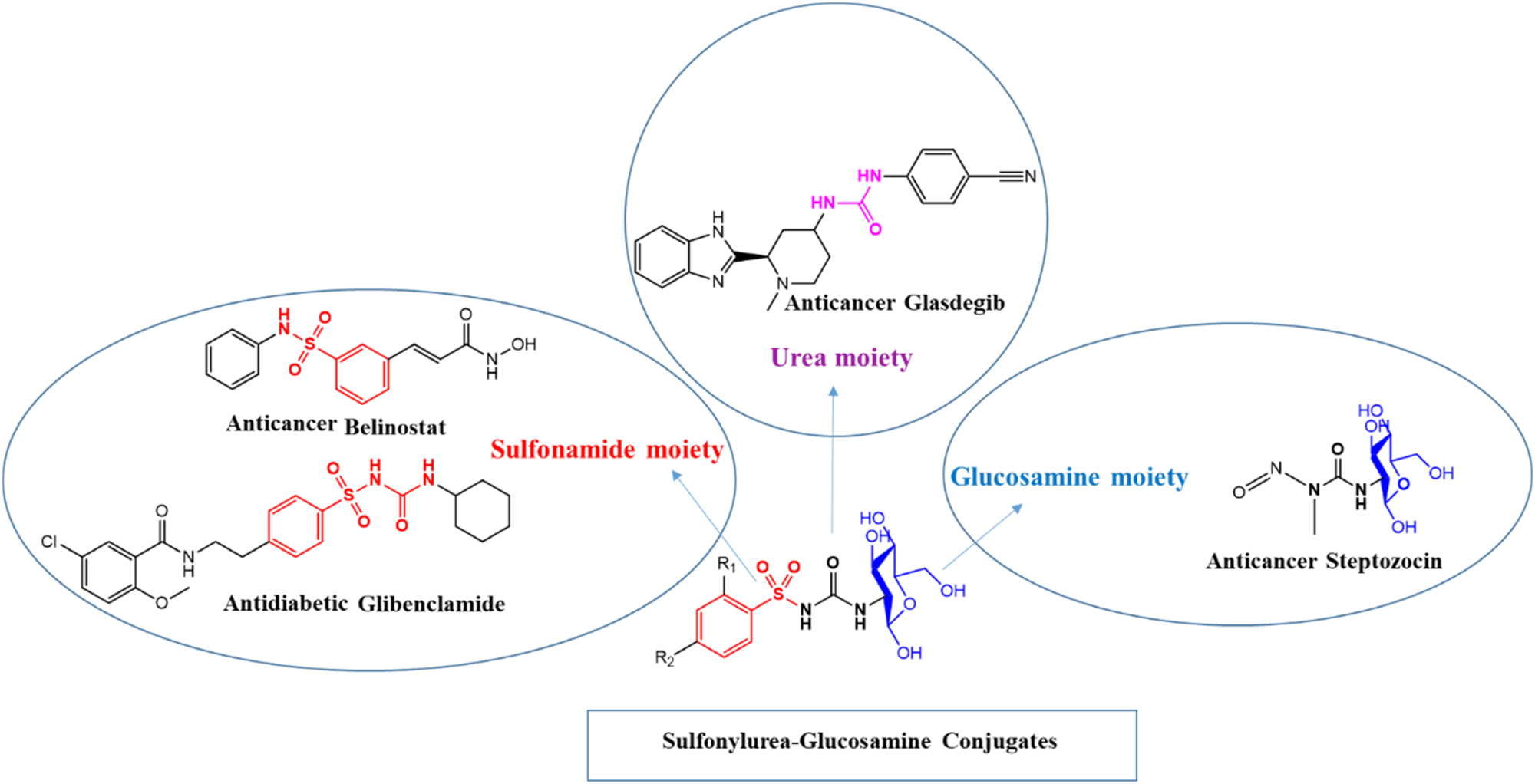 Synthesis, urease inhibitory and anticancer evaluation of glucosamine-sulfonylurea conjugates