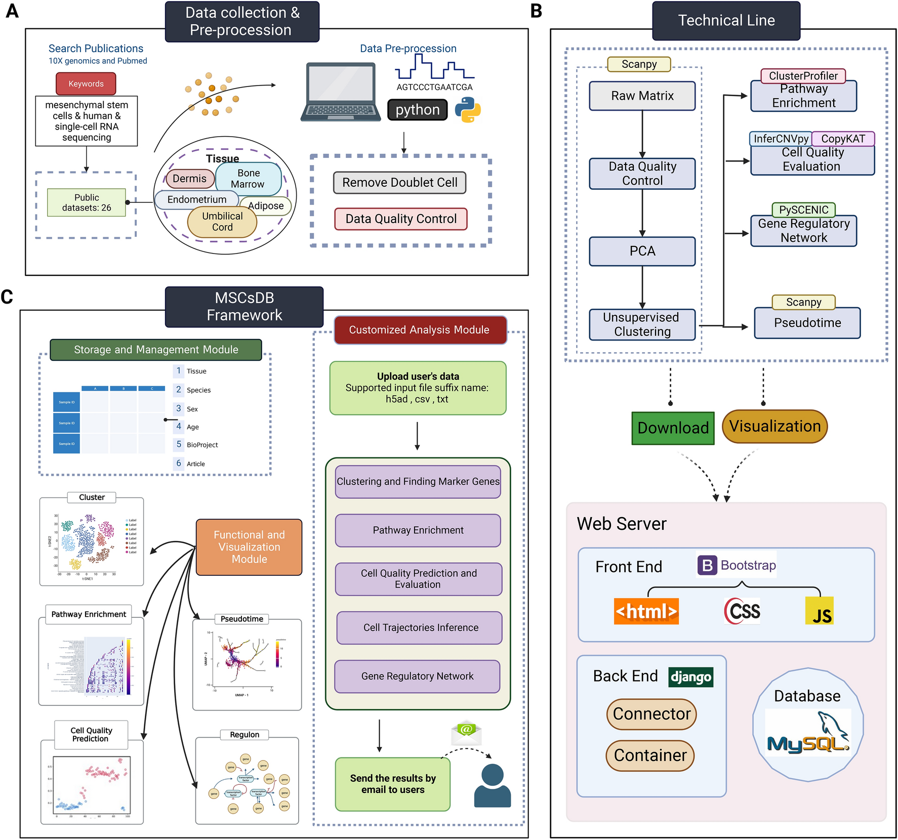 MSCsDB: a database of single-cell transcriptomic profiles and in-depth comprehensive analyses of human mesenchymal stem cells