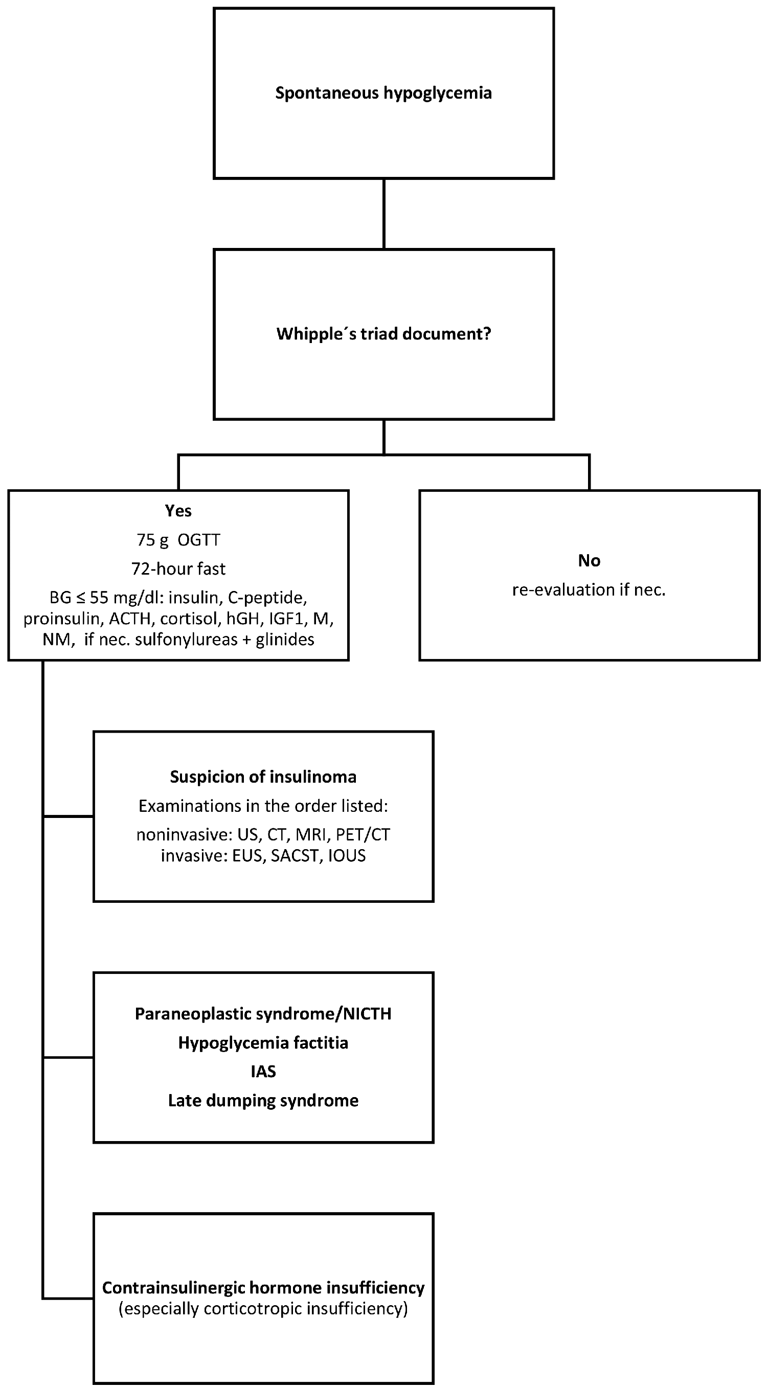 Spontaneous hypoglycemia: should we mind the gap? Long-term follow-up of healthy people who met Whipple’s triad criteria