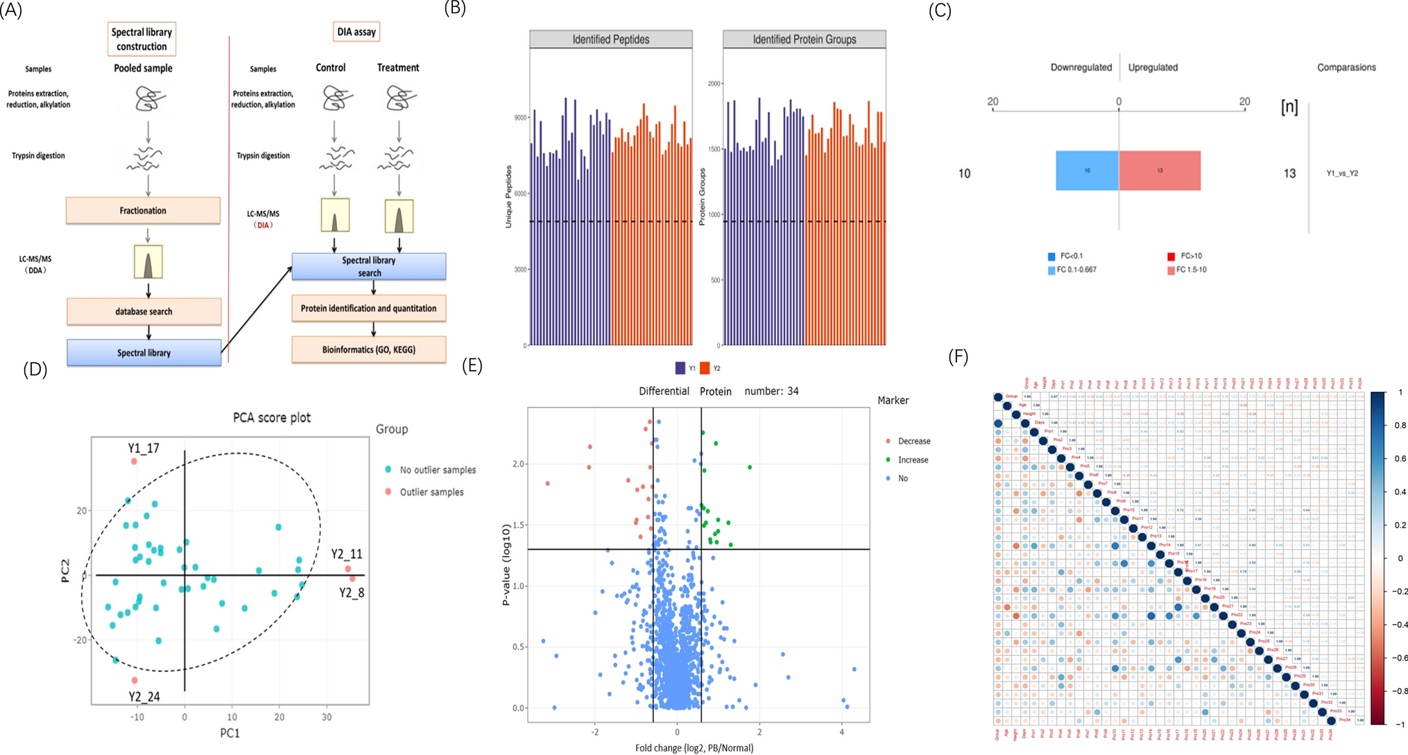 Amniotic Fluid Proteomics Analysis and In Vitro Validation to Identify Potential Biomarkers of Preterm Birth