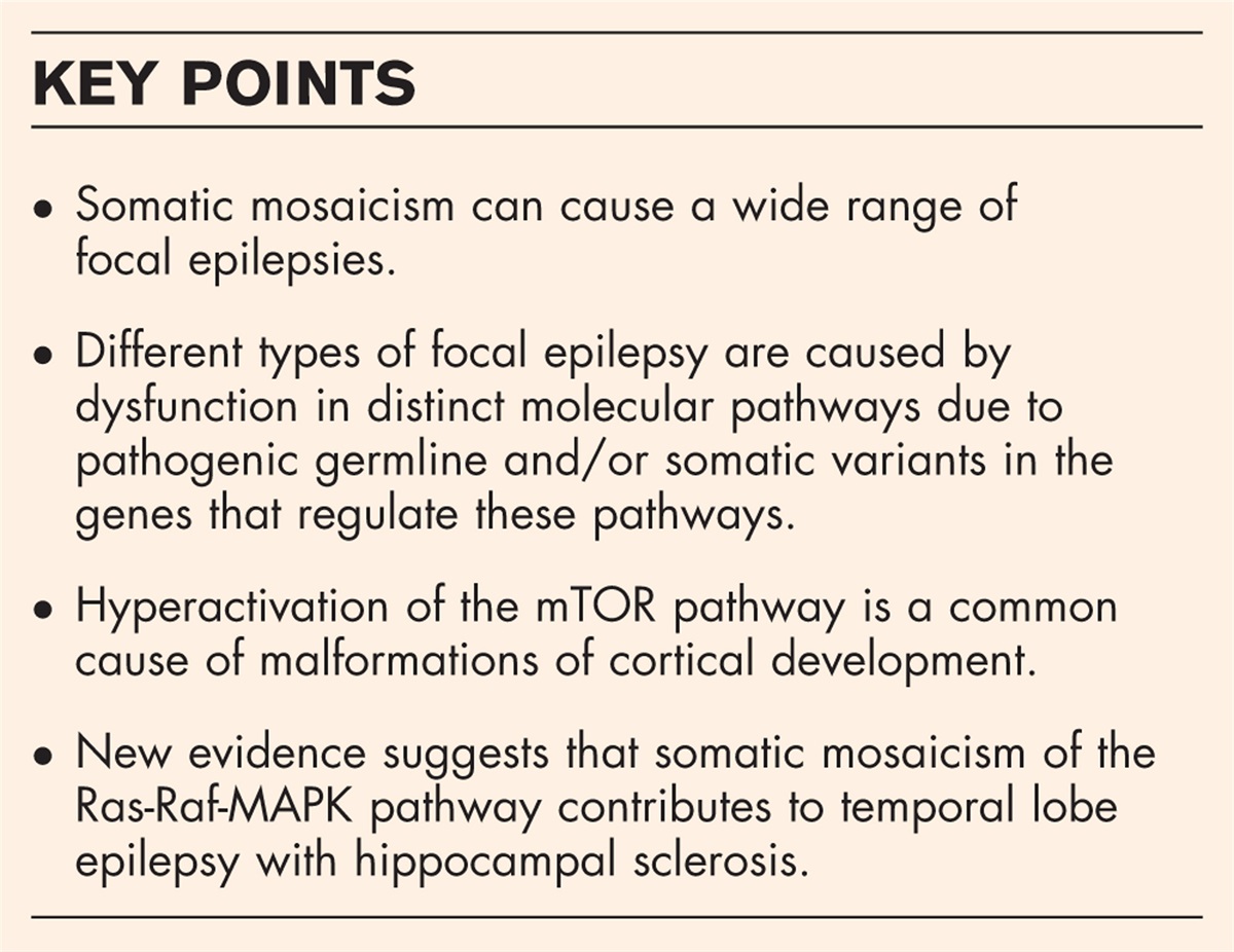 Somatic mosaicism in focal epilepsies