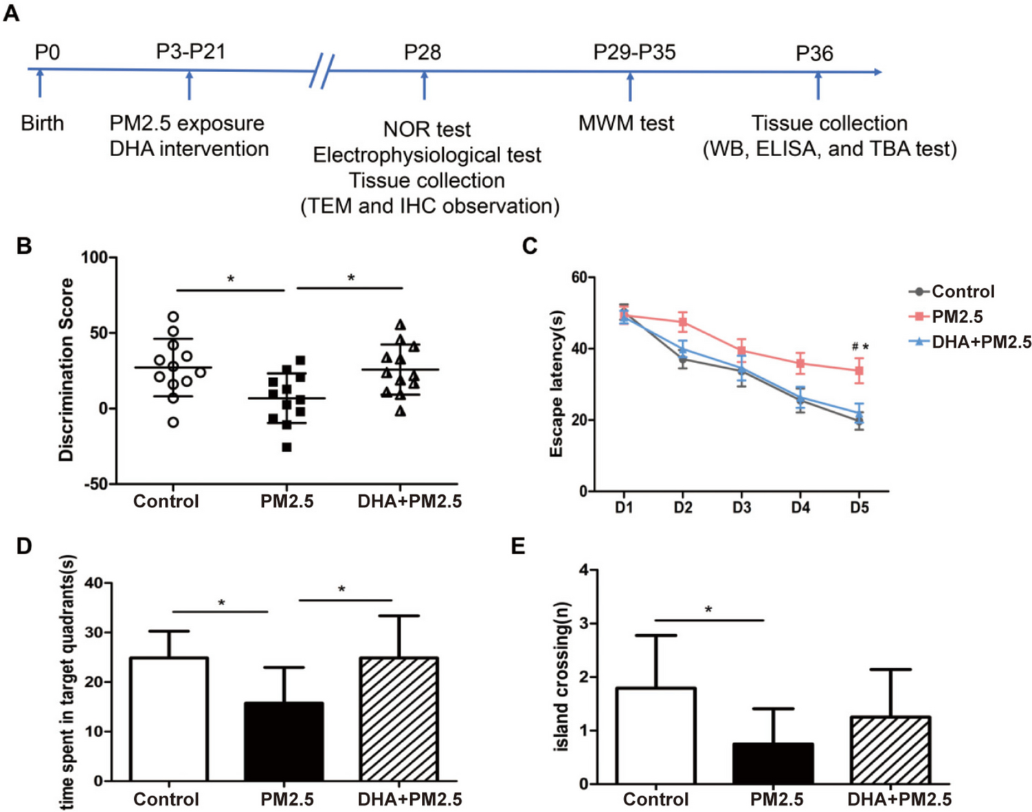 Protective effects of docosahexaenoic acid supplementation on cognitive dysfunction and hippocampal synaptic plasticity impairment induced by early postnatal PM2.5 exposure in young rats