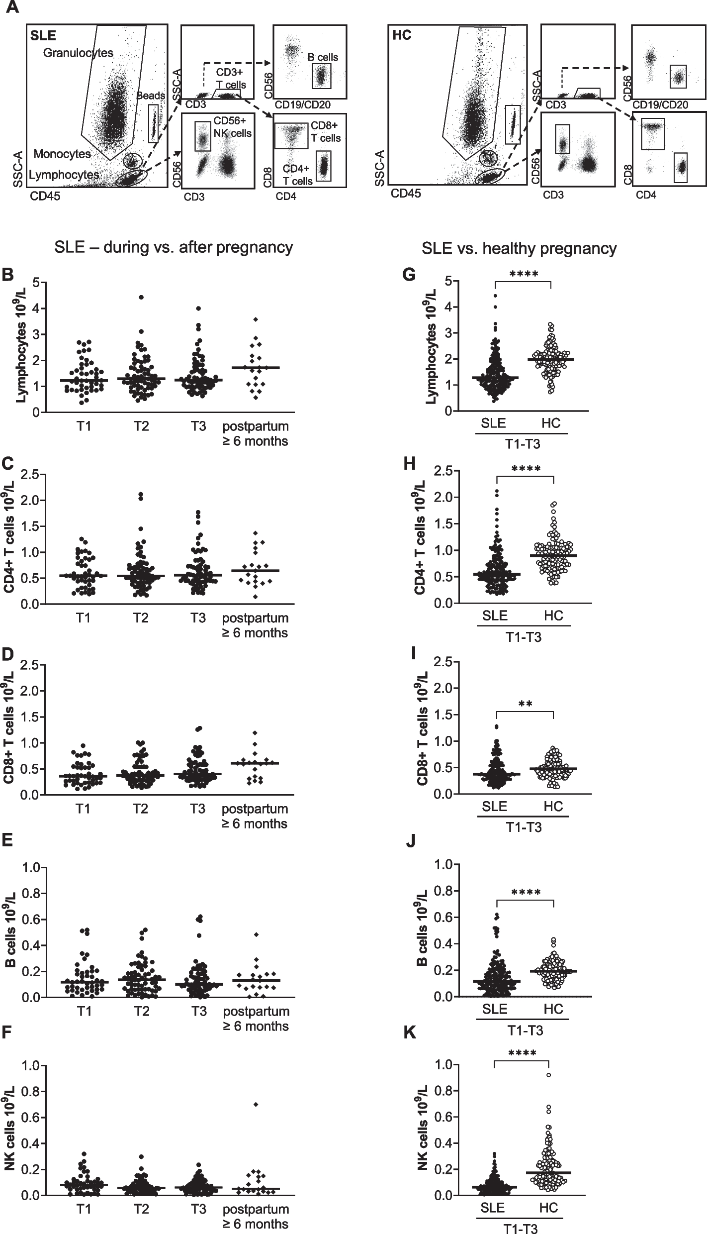 Low CD4 + T cell count is related to specific anti-nuclear antibodies, IFNα protein positivity and disease activity in systemic lupus erythematosus pregnancy