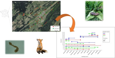 Assessing the role of individual foxes in environmental contamination with Echinococcus multilocularis through faecal samples