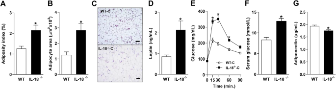Role of IL-18 in adipose tissue remodeling and metabolic dysfunction
