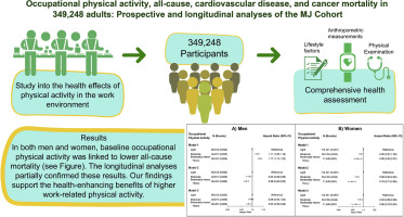 Occupational physical activity, all-cause, cardiovascular disease, and cancer mortality in 349,248 adults: Prospective and longitudinal analyses of the MJ Cohort