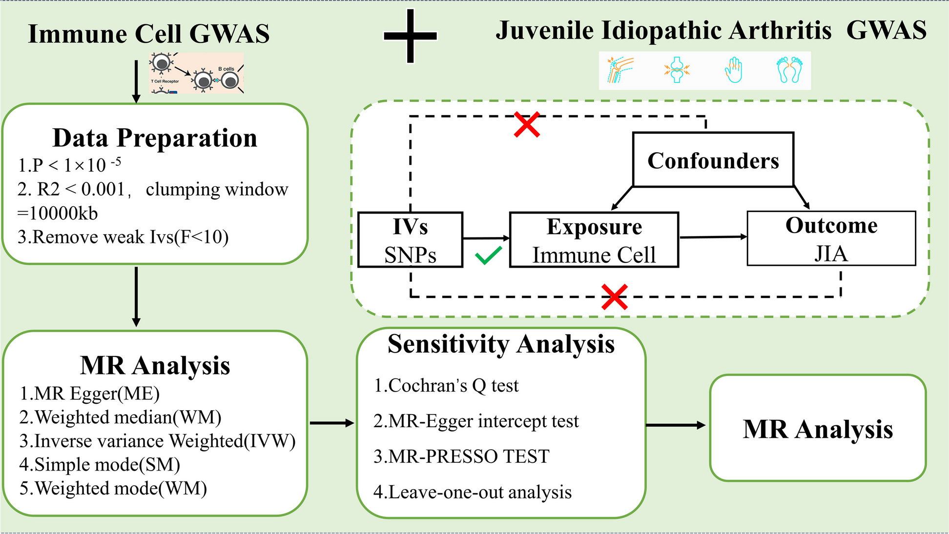 Gene association analysis to determine the causal relationship between immune cells and juvenile idiopathic arthritis