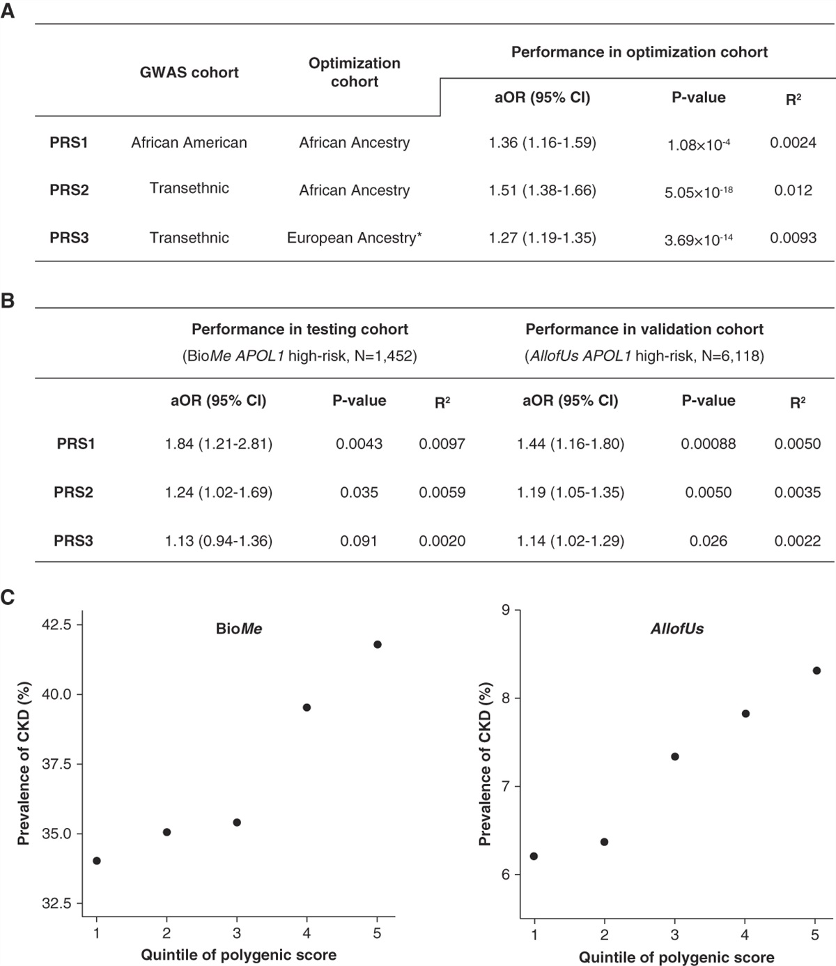 Genome-Wide Polygenic Risk Score for CKD in Individuals with APOL1 High-Risk Genotypes