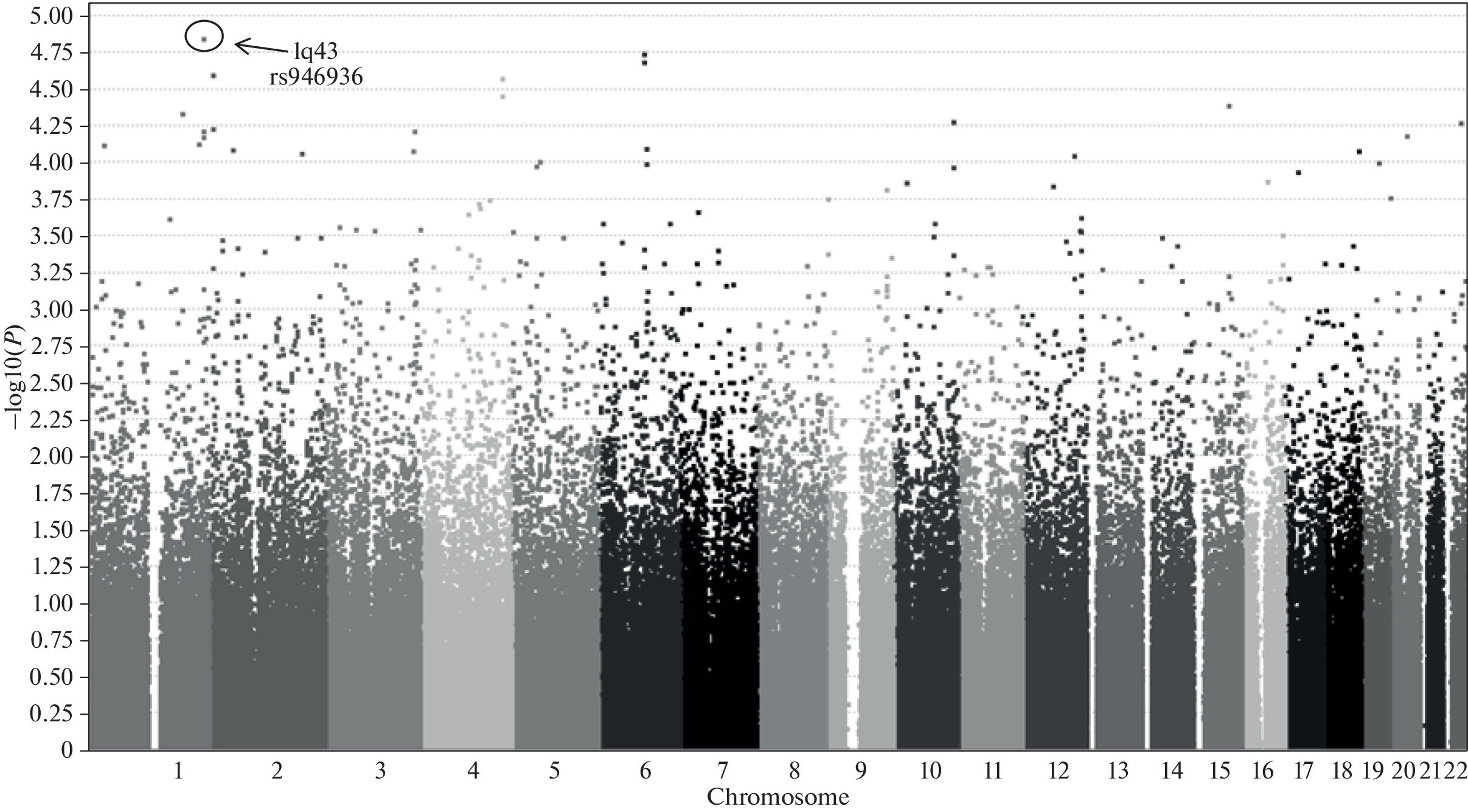 Genome-Wide Analysis of the Risk Association for the Development of Paranoid Schizophrenia in Russians: Search for Genetic Markers in the 1q43 Chromosomal Region