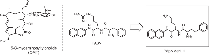 Efflux pump inhibitor, phenylalanine-arginine beta-naphthylamide analog potentiates the activity of 5-O-mycaminosyltylonolide for multi-drug resistant Pseudomonas aeruginosa