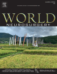 Global Neurosurgery at the 76th World Health Assembly (2023): First Neurosurgery-Driven Resolution Calls for Micronutrient Fortification to Prevent Spina Bifida