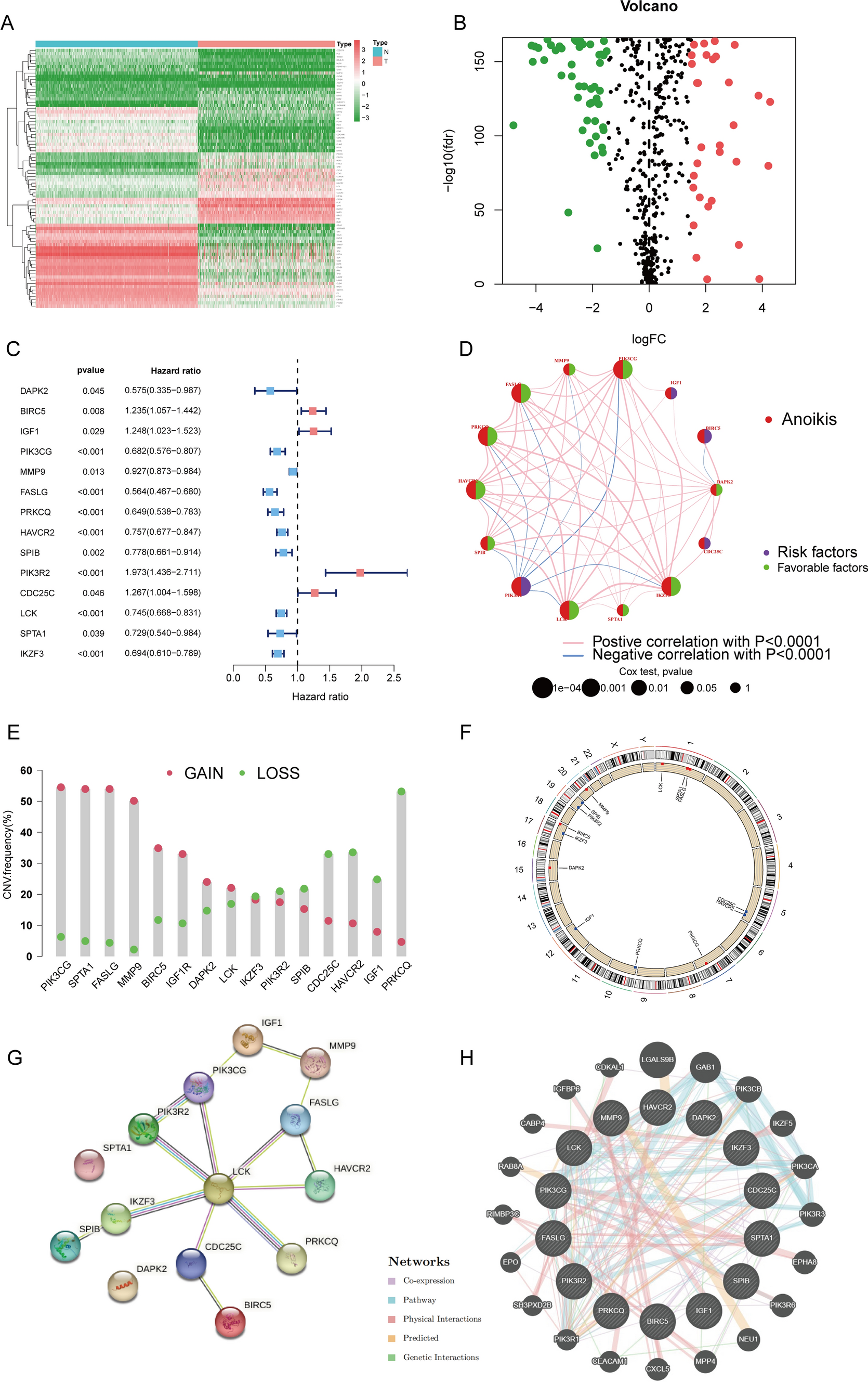 Transcriptome and single-cell transcriptomics reveal prognostic value and potential mechanism of anoikis in skin cutaneous melanoma