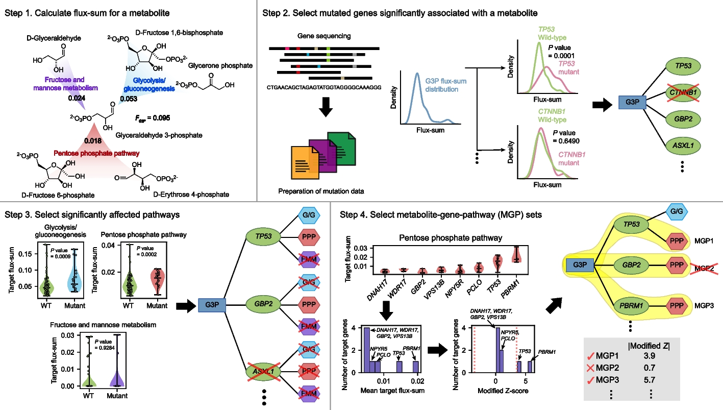 Prediction of metabolites associated with somatic mutations in cancers by using genome-scale metabolic models and mutation data