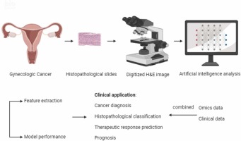 Role of artificial intelligence in digital pathology for gynecological cancers