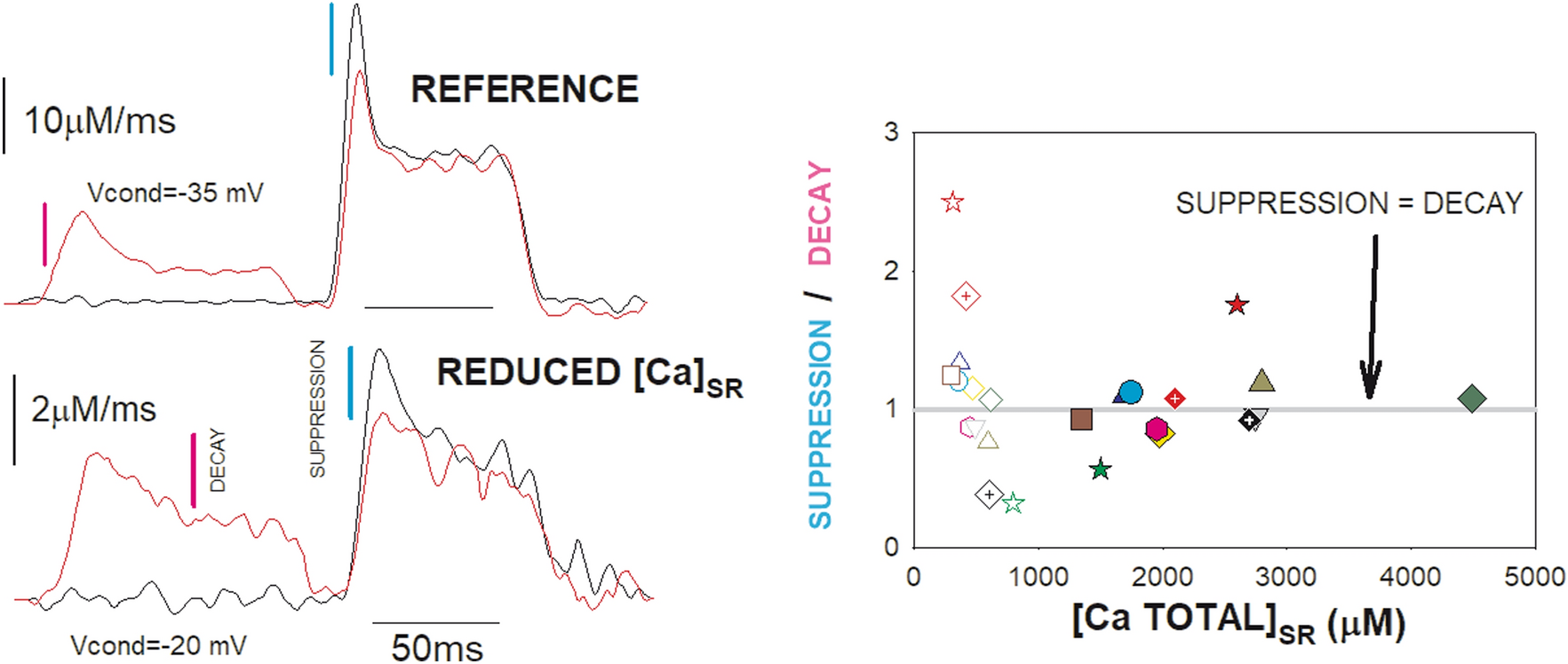 Quantal Properties of Voltage-Dependent Ca2+ Release in Frog Skeletal Muscle Persist After Reduction of [Ca2+] in the Sarcoplasmic Reticulum