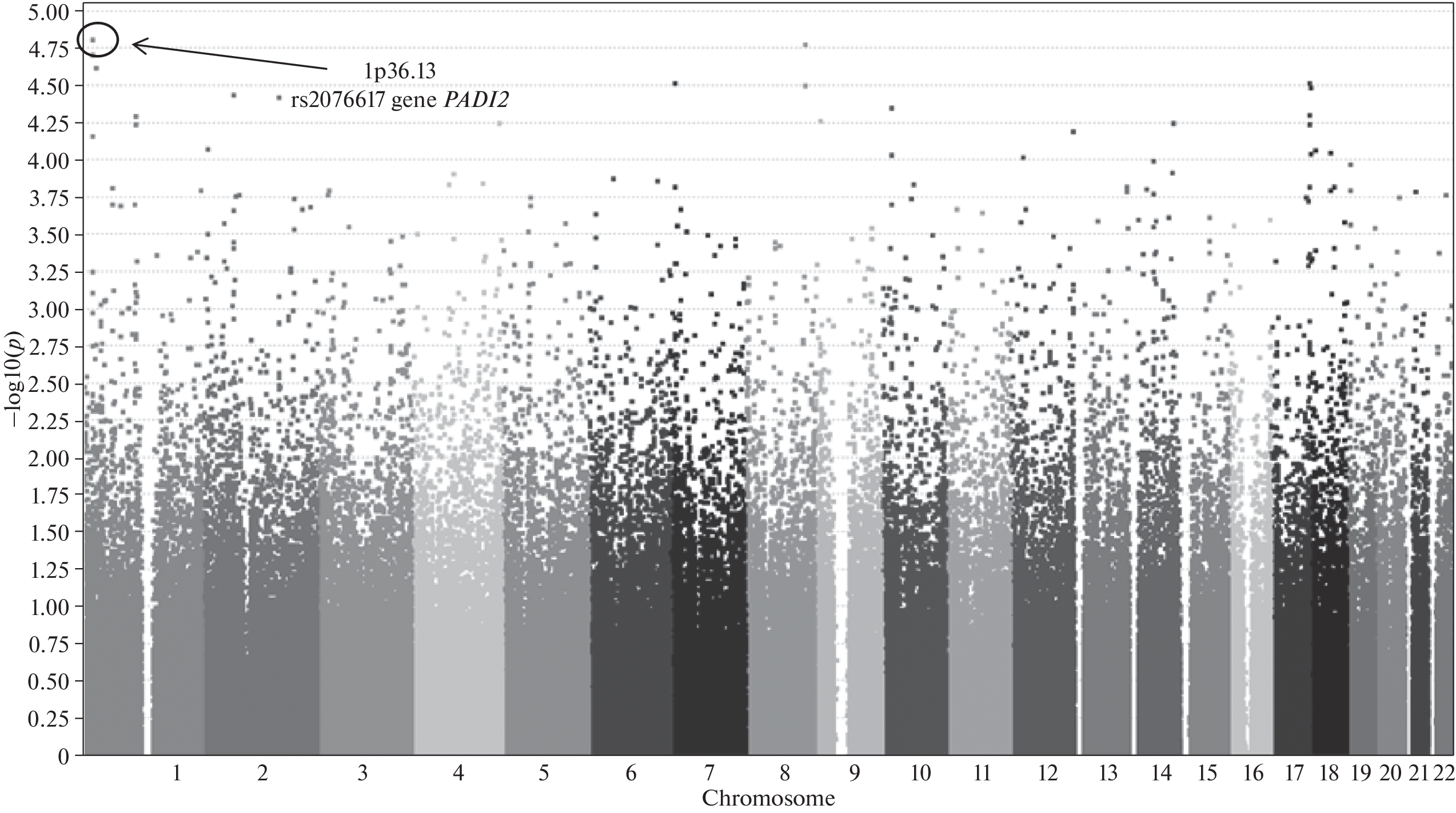 Searching for Ethnospecific Risk Markers of Paranoid Schizophrenia in Bashkirs Based on the Results from Genome-Wide Association Study