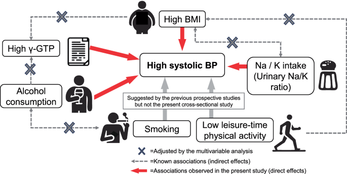 Detailed cross-sectional association between traditional risk factors and high systolic blood pressure in a Japanese population
