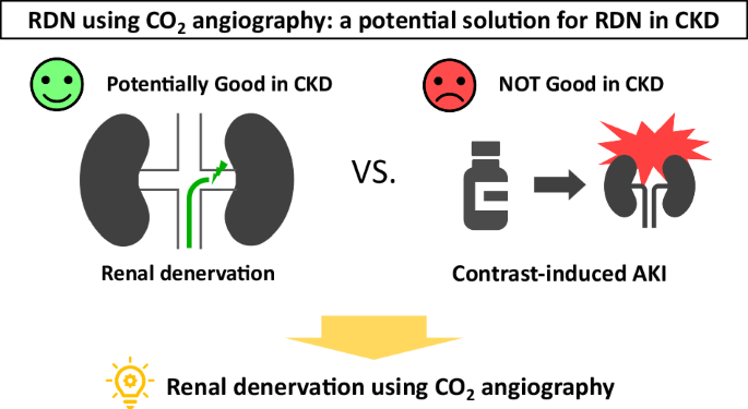 Renal denervation in patients with chronic kidney disease: an approach using CO2 angiography