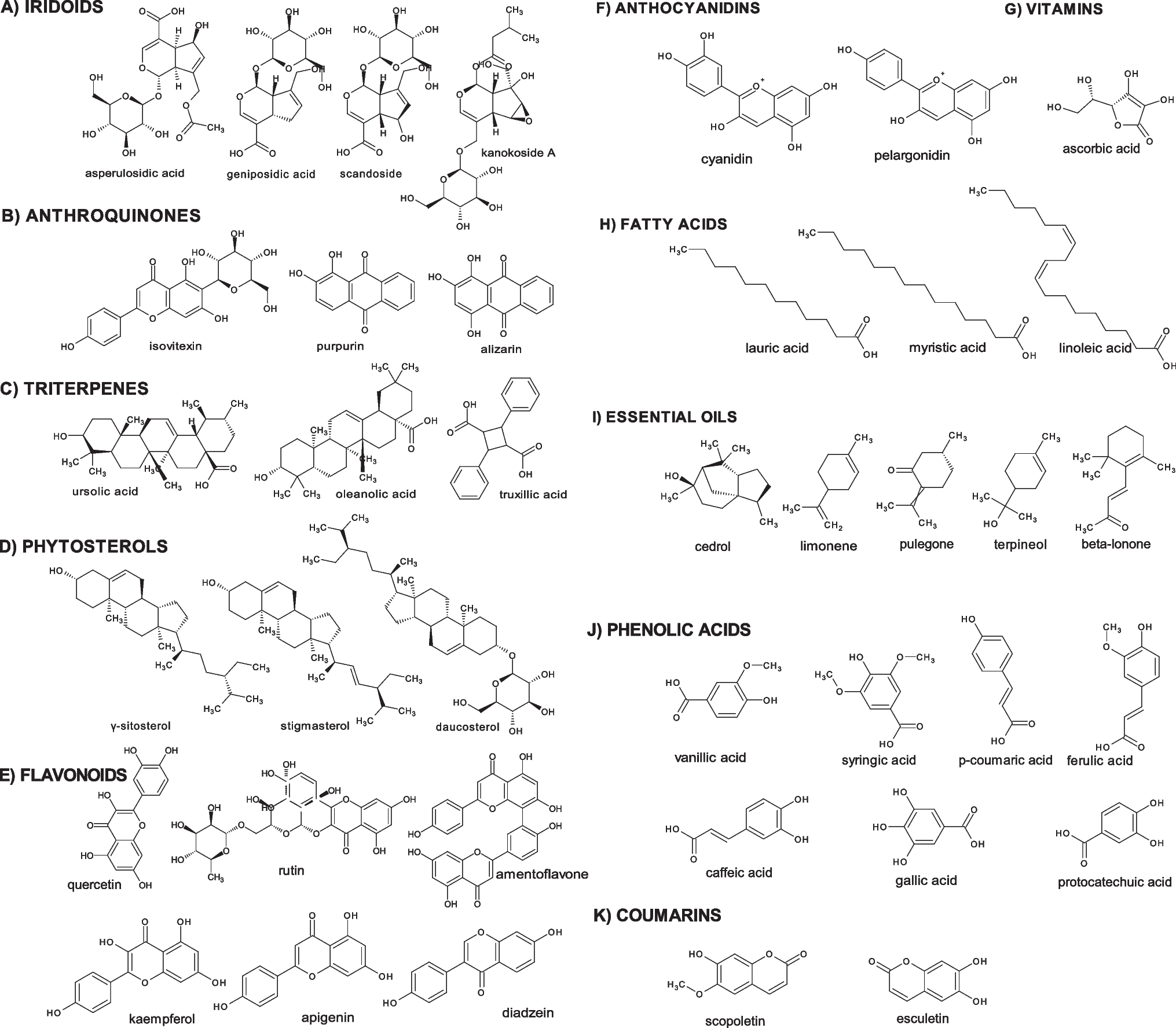 Phytochemistry, pharmacology, and medical uses of Oldenlandia (family Rubaceae): a review