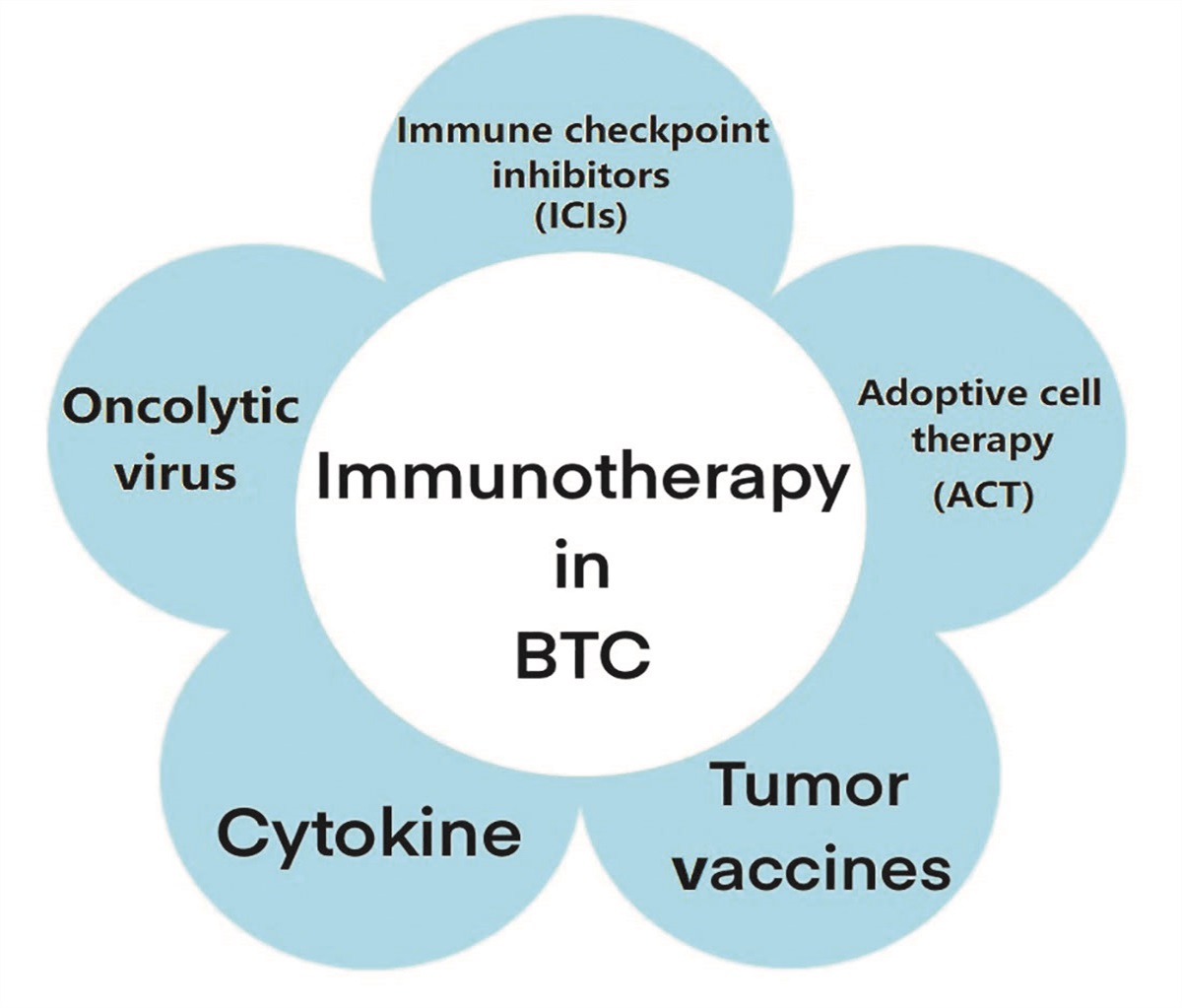 Advances in immunotherapy for biliary tract cancers