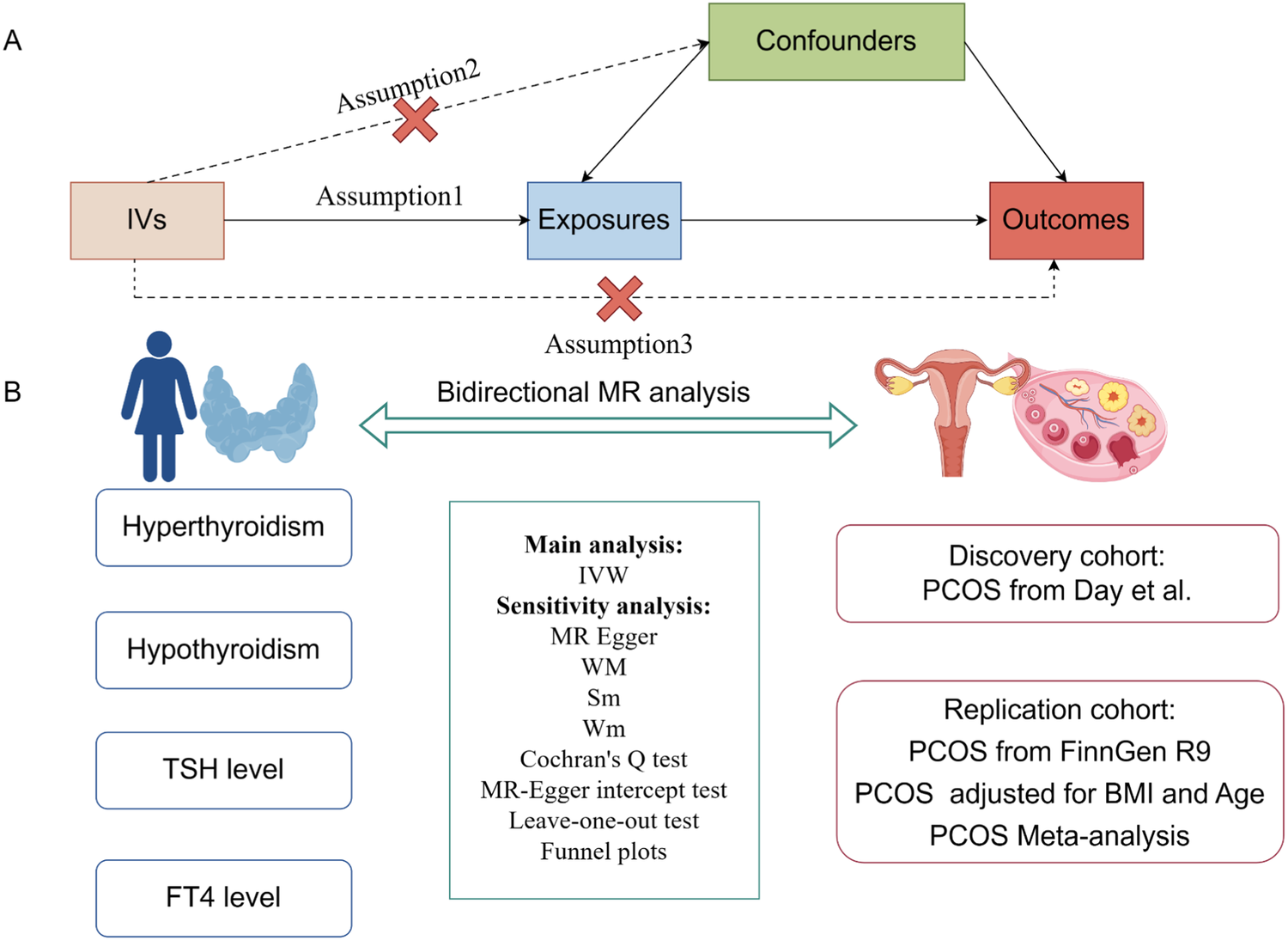 Is thyroid function associated with polycystic ovary syndrome? A bidirectional Mendelian randomization study