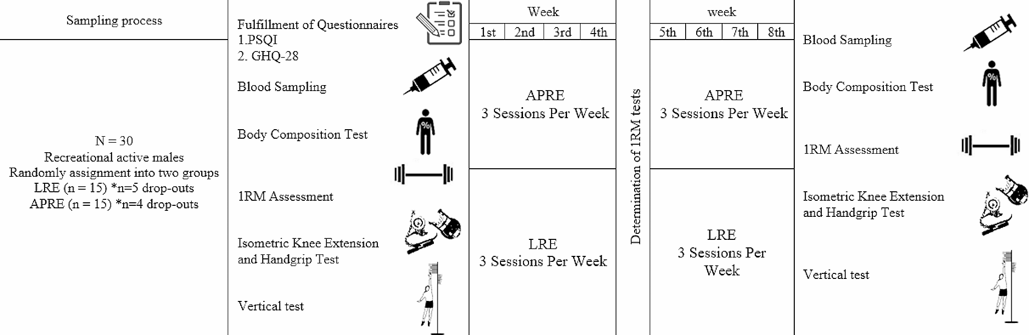 Anabolic myokine responses and muscular performance following 8 weeks of autoregulated compared to linear resistance exercise in recreationally active males