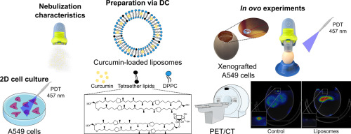 In vitro and in ovo photodynamic efficacy of nebulized curcumin-loaded tetraether lipid liposomes prepared by DC as stable drug delivery system