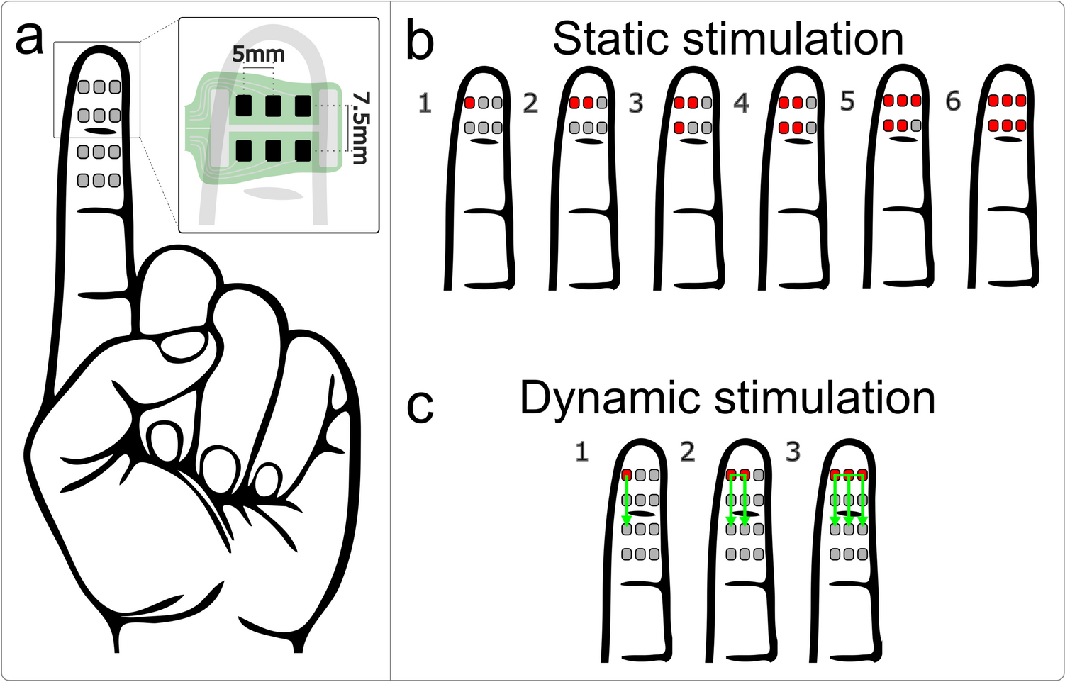 Encoding contact size using static and dynamic electrotactile finger stimulation: natural decoding vs. trained cues