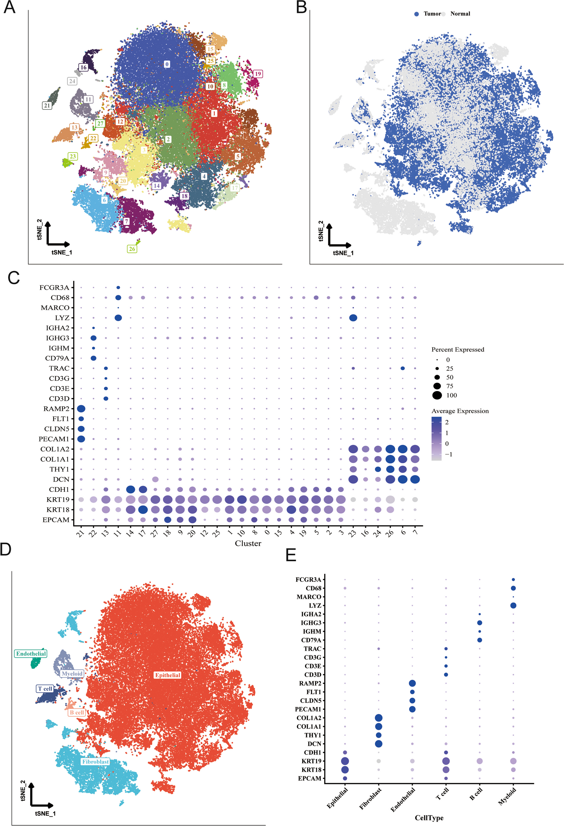 Identification of RNA methylation-related lncRNAs for prognostic assessment and immunotherapy in bladder cancer—based on single cell/Bulk RNA sequencing data