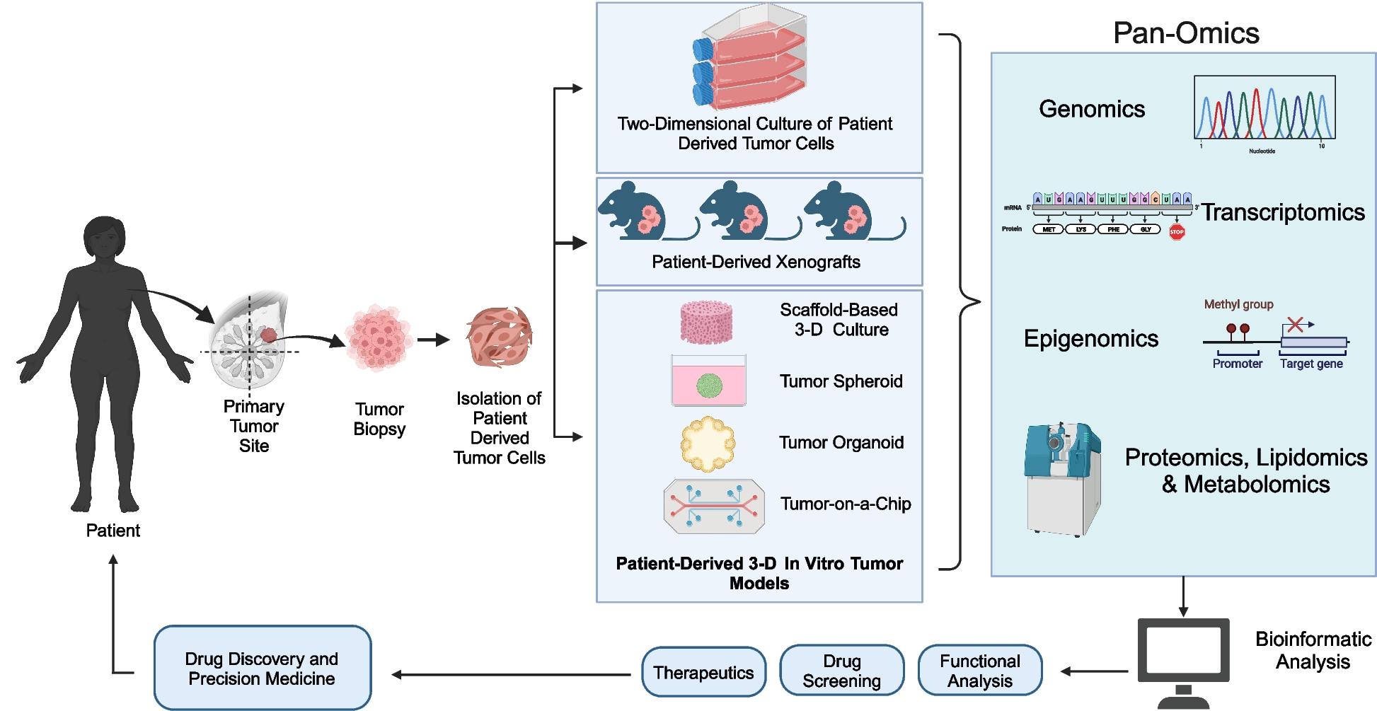 Integration of pan-omics technologies and three-dimensional in vitro tumor models: an approach toward drug discovery and precision medicine