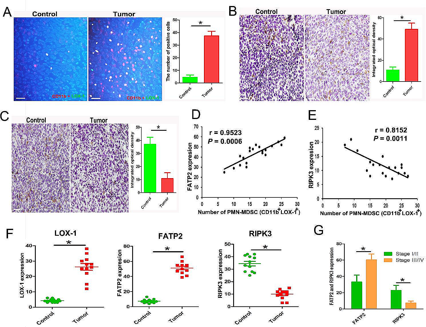Bladder-cancer-derived exosomal circRNA_0013936 promotes suppressive immunity by up-regulating fatty acid transporter protein 2 and down-regulating receptor-interacting protein kinase 3 in PMN-MDSCs