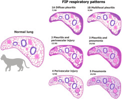 Pathological findings and patterns of feline infectious peritonitis in the respiratory tract of cats